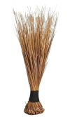 African Broom Small