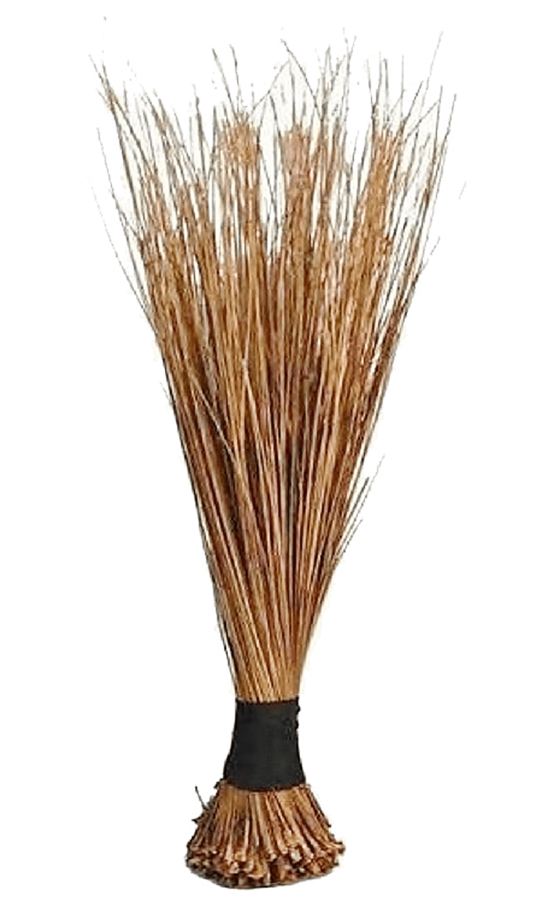 African Broom Large - Jumbo Midlands Ltd