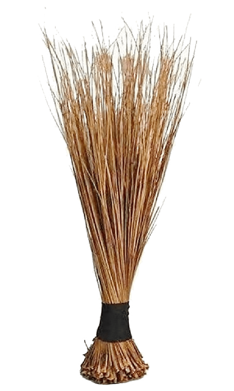 pakistani broom pictures