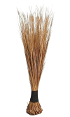 African Broom Large