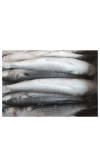 Frozen Mackerel 300/500