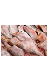 Frozen Red Bream 300/500